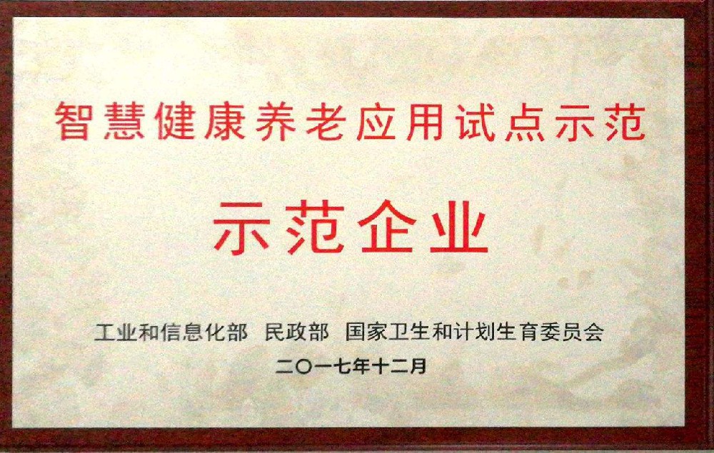 江蘇省級養(yǎng)老服務(wù)業(yè)創(chuàng)新示范企業(yè)認(rèn)定